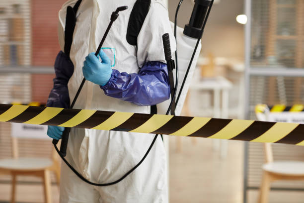 Professional Biohazard Cleanup technician working in Webster, FL